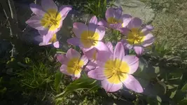 WP_20140428_003.webp