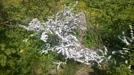 WP_20140428_007.webp