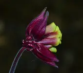DSC_0104.webp