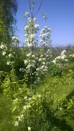 WP_20140428_006.webp