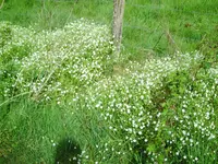 PICT0003.webp