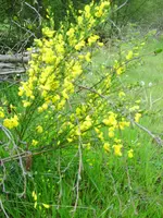 PICT0005.webp