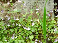 PICT0013.webp