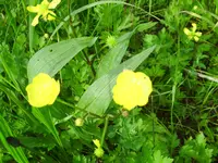 PICT0015.webp