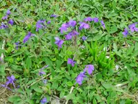 PICT0023.webp