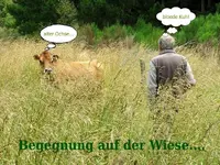 Begegnungv.webp