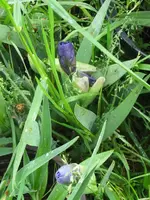 007_576x768.webp