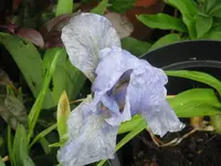 014_1024x768.webp