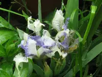 015_1024x768.webp