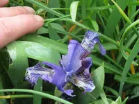 018_1024x768.webp