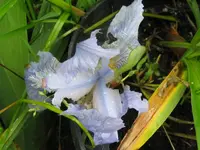 019_1024x768.webp