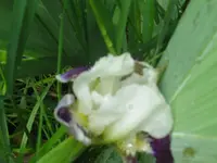022_1024x768.webp