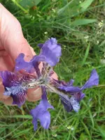 023_576x768.webp