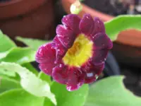 001_1024x768.webp