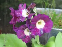 002_1024x768.webp