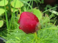 013_1024x768.webp