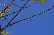 _DSC5769.webp