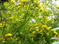 DSCN6943.webp