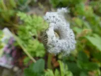 P1050840.webp