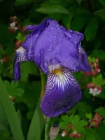 DSCI2435.webp