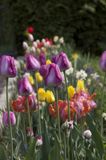 IMG_7562.webp