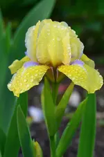 DSC_0008.webp
