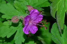 DSC_0024.webp