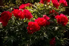 Ga 14-04-30-2010.webp