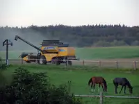 Mähdrescher18-08-2011-146.webp