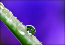 DSC_0022.webp