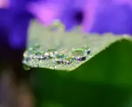 DSC_0028.webp