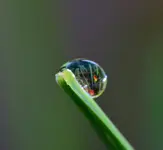 DSC_0125.webp
