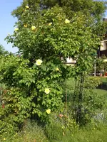 Foto3.webp