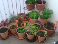 20140430_194821[1].webp