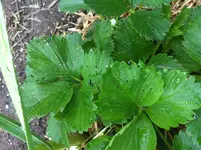 Foto 6.webp