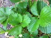 foto4.webp