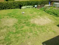 Rasen03.webp