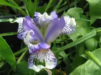 006_1024x768.webp