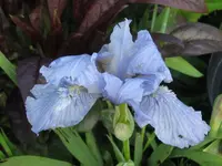 008_1024x768.webp
