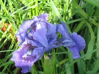 009_1024x768.webp
