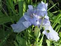 010_1024x768.webp