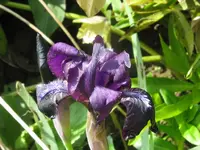 011_1024x768.webp