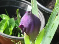 005_1024x768.webp