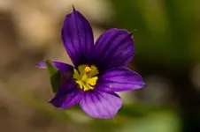 Stg 14-04-30-2014.webp