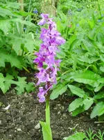 PICT0018.webp