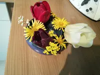 tmp_IMG_20140501_1610511988615703.webp