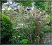 comp_DSC00896.webp