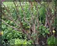 comp_DSC00900.webp