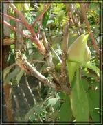 comp_DSC00904.webp