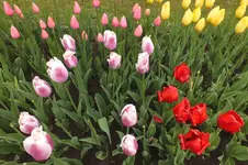 2014_0429Frühling0035.webp